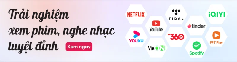 youtube, vieon, fpt, netflix, tv360, iqiyiy, youku, spotify
